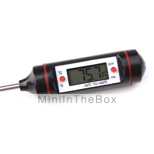 Digital Kitchen Thermometer